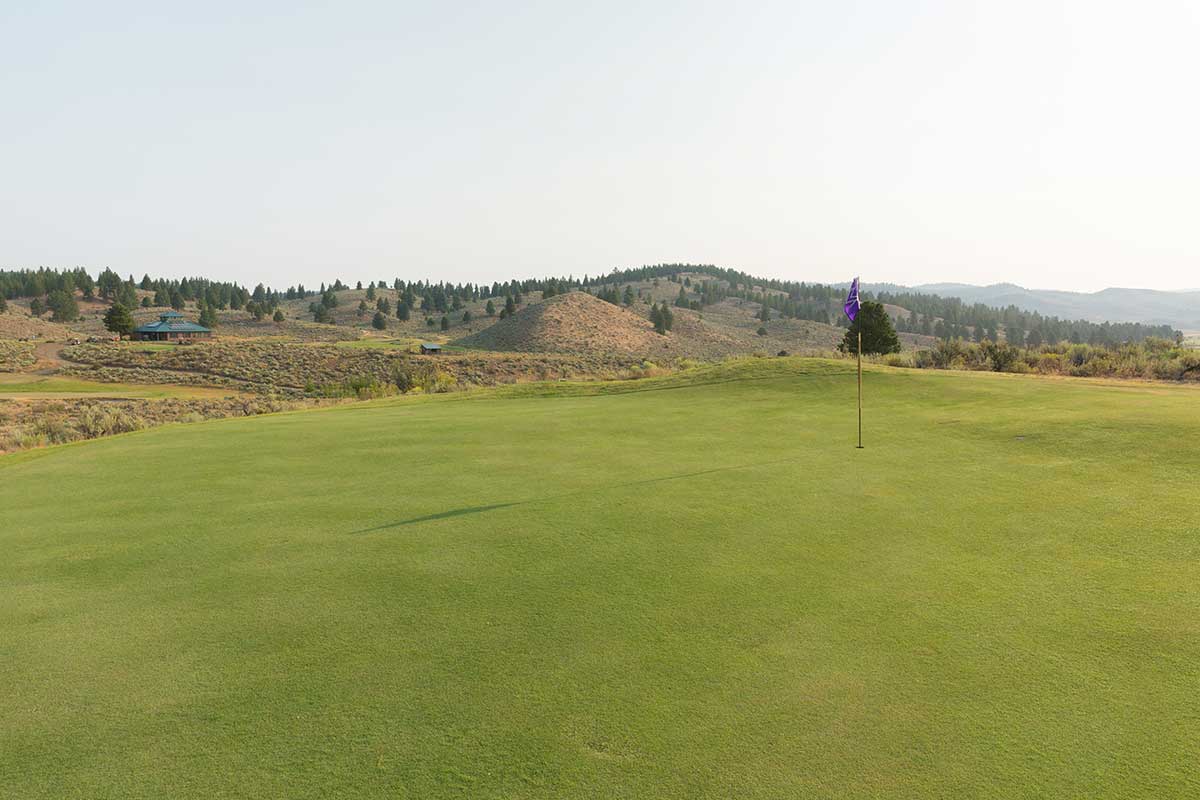 public golf course 